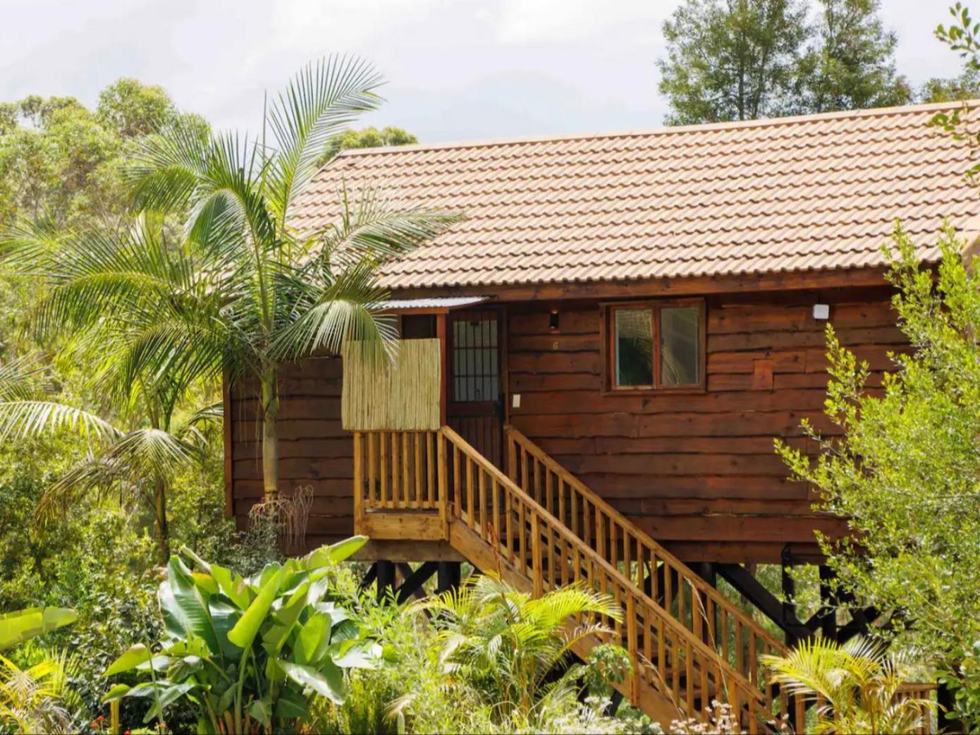 Adventurer's Escape Hq *
