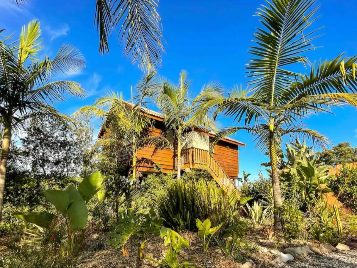 Adventurer's Escape Hq * Harkerville