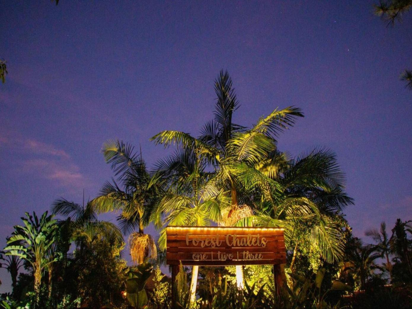 Adventurer's Escape Hq *