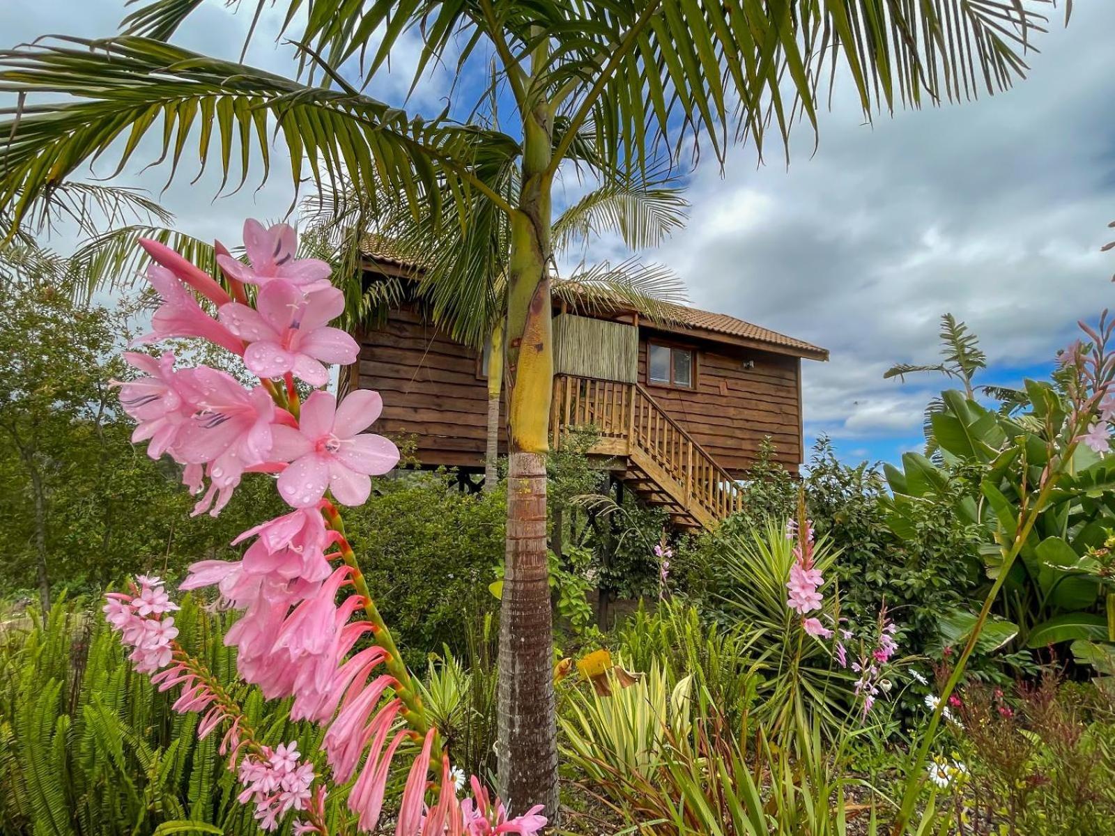 Lodge Adventurer's Escape Hq Harkerville